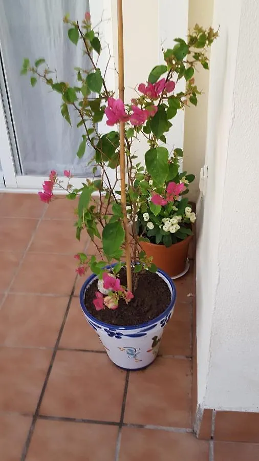 3 Bed Apartment To Rent In Mojacar, Spain.